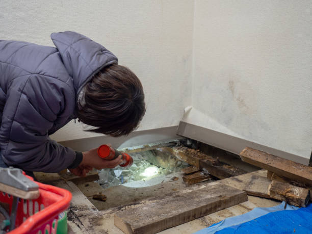 Best Water Damage & Mold Remediation  in Crest View Heights, NY