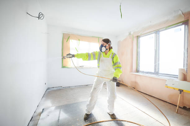 Best Basement Mold Removal  in Crest View Heights, NY