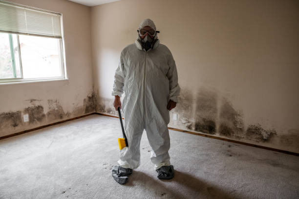 Best Mold Odor Removal Services  in Crest View Heights, NY